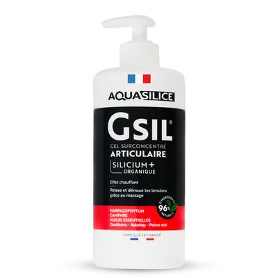 Aquasilice GSA Articular Concentrated Gel Organic Silicium 500ml