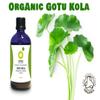Organic Herbal Remedies 100ml Gotu Kola Tincture view 4