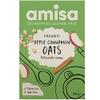 Amisa Pure Apple and Cinnamon Spice Porridge Oats, 300 g view 1