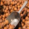 Aromakaffee - Flavored coffee - whole beans - freshly roasted by us (hazelnut, 1000 g) view 4