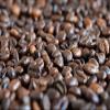 Aromakaffee - Flavored Coffee - Whole Bean - Freshly Roasted By Us (Amaretto, 200 Grams) view 4