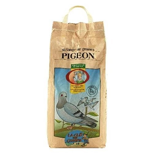 Rgilait - Half Milk Powder Skim 300G - Lot of 4 - Price Per Lot - Fast Delivery