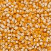 Wholefood Earth Organic Popping Corn 1kg | GMO Free | Vegan | High Fibre | Certified Organic view 4