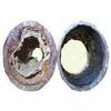 4 Pairs Power Magnetic Water Conditioner SOFTENER limescale remover Kitchen Garden Bathroom view 4