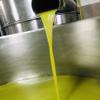 5 liters of 100% Italian Martino Extra Virgin Olive Oil - Can with Double Anti-Pride Cap view 4