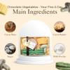 Choc on Choc Chocolate Vegetables 5 a Day Gift Box | Handmade Solid White and Dark Chocolate Onion, Mushroom, Asparagus, Cauliflower & Corn, Natural Colors, Fun Novelty Gift - 100g view 4