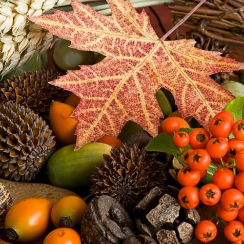 20 Napkins Autumn with Maple Leaf, Cones and Berrs. Paper Napkins Autumn Table Decoration Autumn Motif. Nature Motif, Autumn 33 x 33 cm