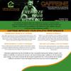UKHealthHouse Caffeine 200mg - Pre Workout Performance UK Health House Supplements (240 Tablets) view 4