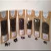 All Seven Seaweeds view 1