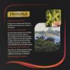 Twinings English Strong Breakfast Tea, 480 Tea Bags (Multipack of 3 x 160 Tea Bags) view 2