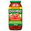 Dolmio Bolognese Smooth Tomato Pasta Sauce 750g view 1