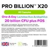 Lindens - Pro Billion X20, 60 Capsules - 20 Billion CFU Plus FOS - 1 a Day, UK Made - High Potency Lactobacillus Acidophilus, Healthy Digestion - Letterbox Friendly, Vegan view 2