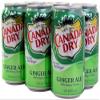 Canada Dry Ginger Ale, 24 Count by Canada Dry view 1