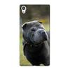 Shar Pei (2) Sony Xperia Z5 Case view 1