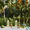 FEVER-TREE - Premium Ginger Beer - Soda - Origin England - 6 x 4 x 200 ml (Packaging may vary) view 4