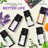 Essential Oils by Pure Aroma 100% Pure Therapeutic Grade Oils kit- Top 6 Aromatherapy Oils Gift Set-6 Pack, 10ML(Eucalyptus, Lavender, Lemon Grass, Orange, Peppermint, Tea Tree) view 2