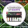 Essential Oils by Pure Aroma 100% Pure Therapeutic Grade Oils kit- Top 6 Aromatherapy Oils Gift Set-6 Pack, 10ML(Eucalyptus, Lavender, Lemon Grass, Orange, Peppermint, Tea Tree) view 4