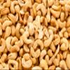 Wholefood Earth - Cashew Nuts, Roasted & Salted 3kg view 4