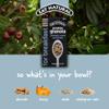 Eat Natural Protein Bars, Breakfast Bars, Protein Granola Cereal - Almonds, Seeds & Honey Granola with Whole Grain Oats - 400g x 5 Pack - Suitable for Vegetarians view 3