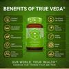 Organic Green Tea Extract Capsules | Premium Green Tea Capsules with Natural EGCG | Certified Organic by Soil Association | Vegan Ayurveda Supplement Low Caffeine | 60 Easy Swallow Pills | UK Made view 2