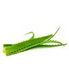 Aloe Arborescens S/alcol 830g view 3