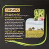 Twinings English Afternoon Tea 400 Tea Bags (Multipack of 4 x 100 Tea Bags) view 4