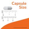 NOW Foods Rutin, 450mg - 100 vcaps view 3
