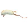 Frozen Mice Large Size 22-30g - Pack of 25 view 1