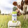 Physiolac Organic 2 from 6 to 12 Months 800g view 4