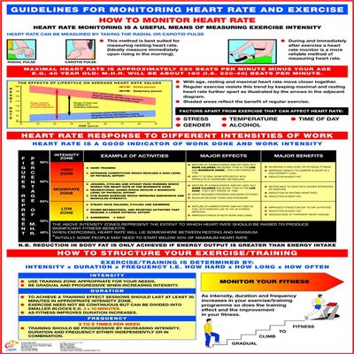 Heart Information Charts (A1 Laminated, Heart Rate Monitoring and Exercise Chart)