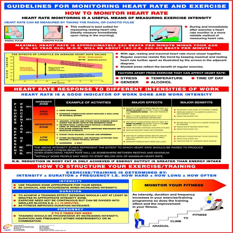 Heart Information Charts (A1 Laminated, Heart Rate Monitoring and Exercise Chart)