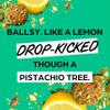 The Protein Ball Co Lemon & Pistachio Plant Protein Balls - Vegan Snack, Healthy Snacks, Gluten-Free, No Added Sugar - On-the-Go Energy Balls, Box of 10 Bags view 2