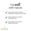Pukka Herbs | Clean Matcha Green Organic Tea Box | Green Tea, Lemon, Fennel and Matcha Powder | Perfect for Everyday Vitality | 4 Packs | 80 Plant Based Biodegradable Tea Bags view 3
