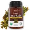 Certified Organic Iodine from 500mg Sea Kelp Giving 385mcg Iodine per Capsule 256% RDA Contributes to Normal Thyroid Function view 1