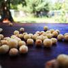 2 x 350 gr - Organic Fregula sarda, craftmade in Sardinia view 1