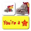ButtonChocs You're A Star Chocolate Car Belgian Milk Chocolate Thank You Gift. Well Done Gift. Exam Gift. view 2