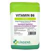 Lindens Vitamin B6 100mg 3-Pack 1 /Day 300 Tablets B-6 B 6 view 1
