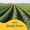 BUSH'S BEST Canned Garbanzo Beans (Chickpeas) (Pack of 12), Source of Plant Based Protein and Fibre, Vegetarian, Low Fat & Gluten Free, 16 oz view 3