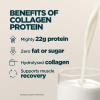 Myprotein Collagen Protein Powder | Vanilla 1 kg (33 Servings) | 22g Hydrolysed Collagen Peptides Per Serving | 90% Pure Collagen Content | High Protein Nutritional Supplement | Zero Sugar & Fat view 2