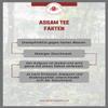 Assam FTGFOP1 Type "Buddla Beta" 2 kg view 3