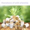 10-Years Purity 60:1 Ratio 54 Rolls Sticks Pure Moxibustion X'mas Gift [HRUS] view 2
