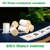10-Years Purity 60:1 Ratio 54 Rolls Sticks Pure Moxibustion X'mas Gift [HRUS] view 3