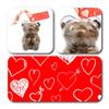 ButtonChocs Valentines Chocolate Teddy Bear - Lovehearts. Belgian Milk Chocolate Valentines Day Gift. Mothers Day Gift. view 2