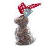 ButtonChocs Christmas Chocolate Dinosaur. Belgian Milk Chocolate Gift for Christmas. view 1