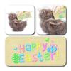 ButtonChocs Easter Chocolate Chick. Belgian Milk Chocolate Easter Gift. view 2