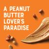 CLIF Nut Butter Bar | Protein Bar with 7g Plant Protein | Peanut Butter | Organic Snack Bars for OntheGo | 12 x 50 g view 3