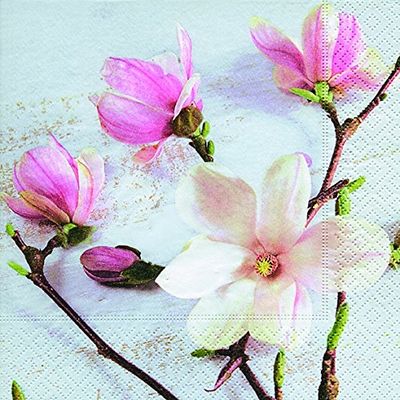 20 Napkins 25 x 25 cm Magnolia