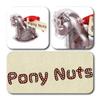 ButtonChocs Chocolate Rocking Horse - Pony Nuts. A Little Belgian Milk Chocolate Gift. Pony Gift. Horse Gift. view 2