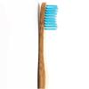 Adult Blue Soft Toothbrush 1 Brush view 3