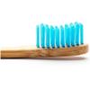 Adult Blue Medium Toothbrush 1 Brush view 2